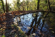 67 Pozza d'abbeverata sul sentiero dai Prati Parini a Botta di Sedrina